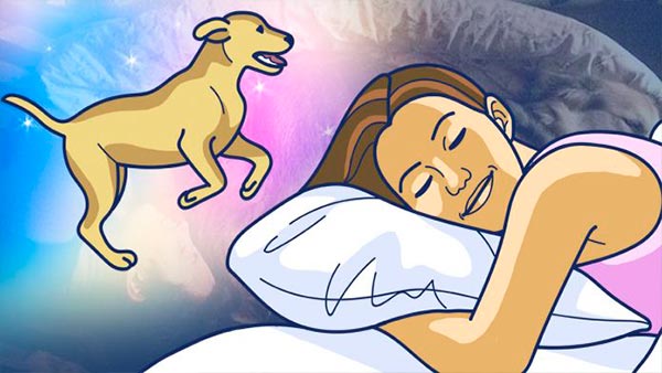 ¿Qué significa soñar con perros?