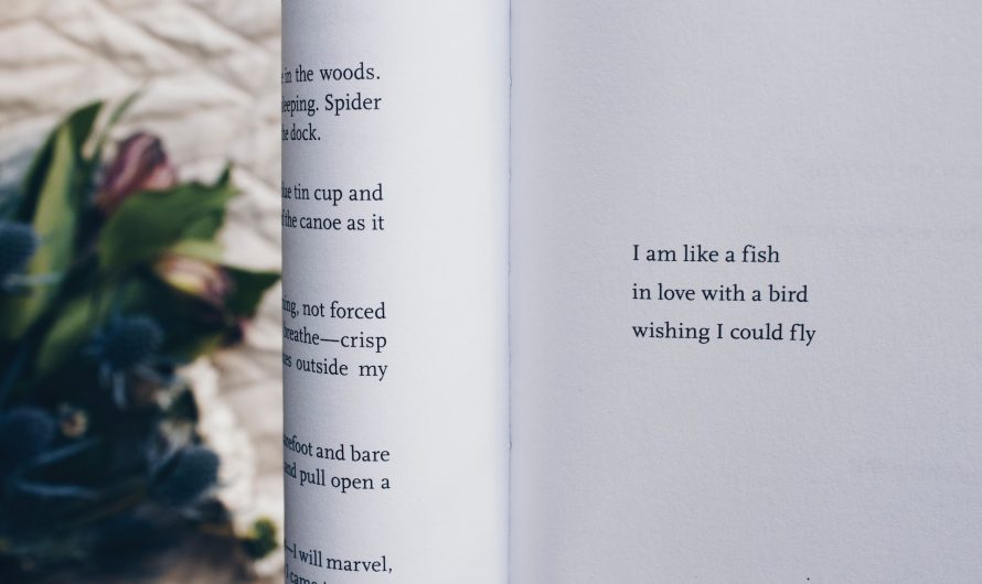 Poemas cortos para enamorar